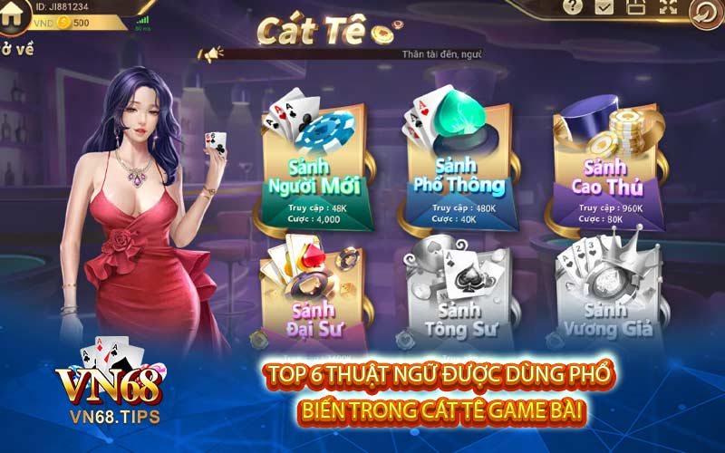 Top 6 thuật ngữ được dùng phổ
 biến trong cát tê game bài